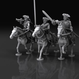 Austrian cuirassier command