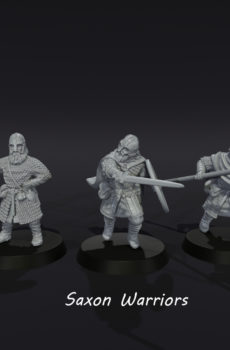 1066 - Saxon Warriors w/Banner