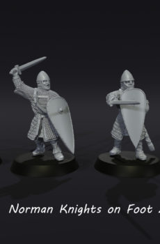 1066 - Norman Foot Knights Set #2