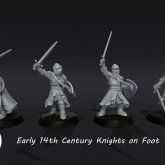 14th C Ft Knights