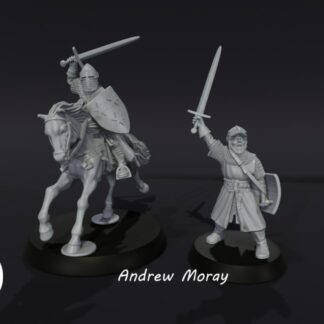 Andrew Moray