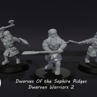Dwarf warriors Set 2