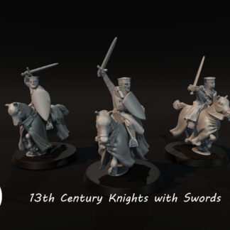 13th Century Knights with Swords