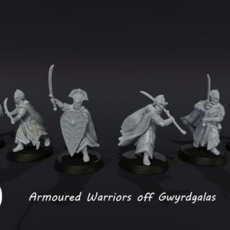 LOTR - Elven Armoured Warriors