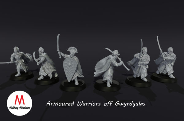 LOTR - Elven Armoured Warriors