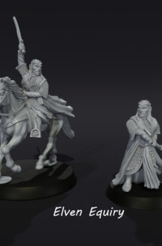 LOTR - Elven Lord