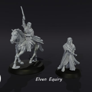 LOTR - Elven Lord