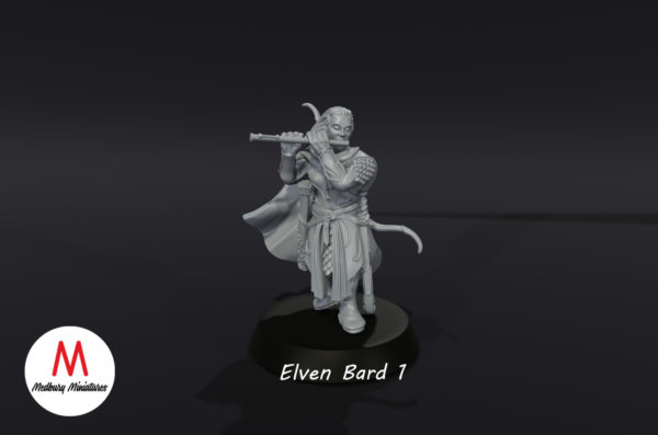 LOTR - Elven Bard
