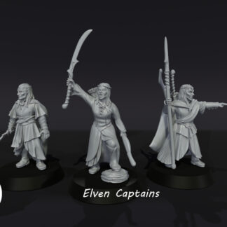 LOTR - Elven Captains