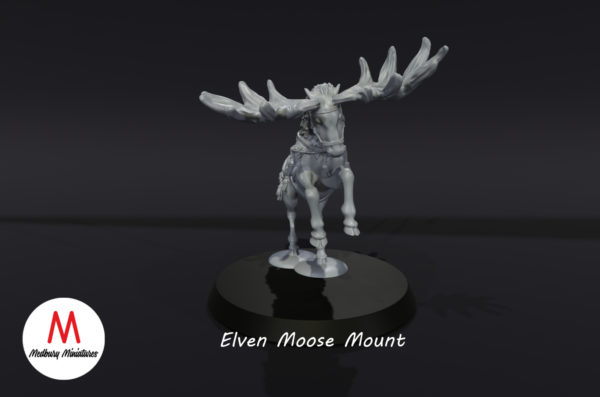 Animals - Moose - Image 4