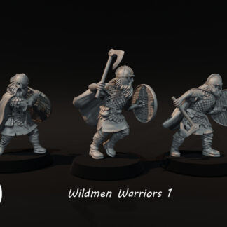 Wildmen Warriors