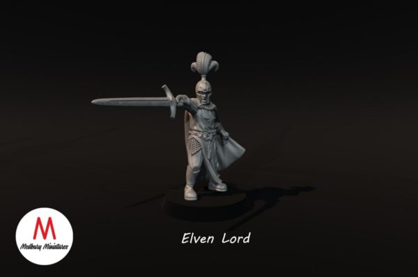 Elven Lord #2