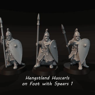 Rohan Housecarls on Foot With Spears 1