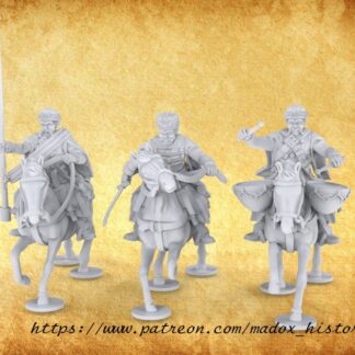 Polish Uhlans Command