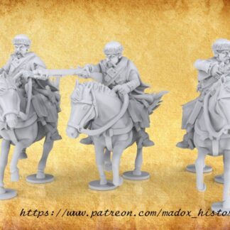 Polish Uhlans Muskets