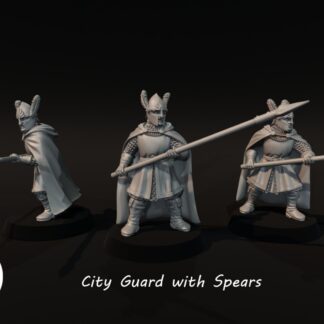 City Guard With Spears
