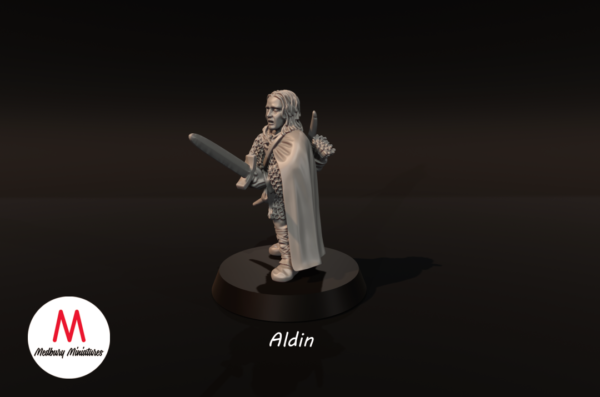 LOTR - Elven Lord Alden - Image 4