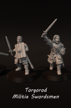 LOTR - Torgorod Militia Swordsmen