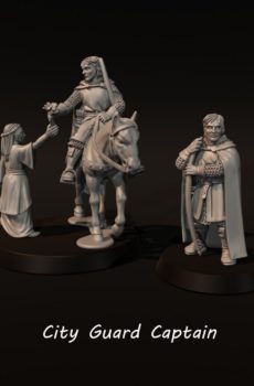 LOTR - City Guard Captain - Gondor