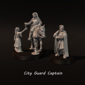 LOTR - City Guard Captain - Gondor