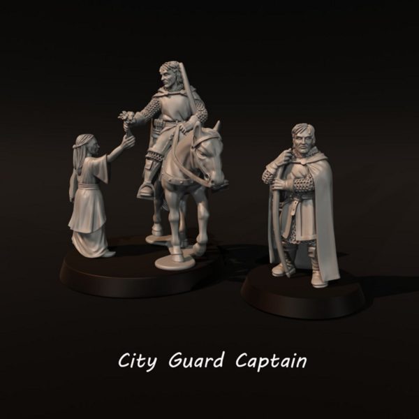 LOTR - City Guard Captain - Gondor