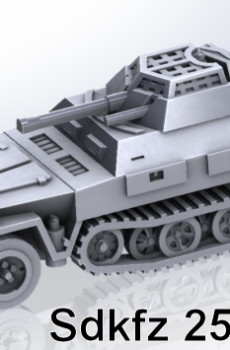 German - Sdkfz 250/B-9 Halftrack (3)
