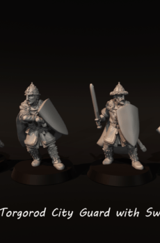 LOTR - Torgorod City Guards with Swords