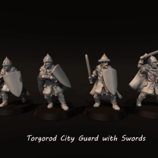 LOTR - Torgorod City Guards with Swords