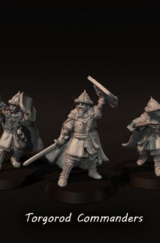 LOTR - Torgorod Commanders (command set)