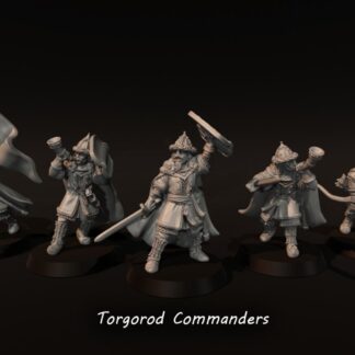 LOTR - Torgorod Commanders (command set)