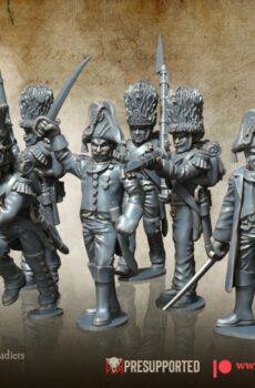 Napoleonic - French Old Guard Grenadiers