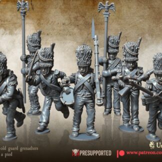 Napoleonic - French Old Guard Grenadiers Command