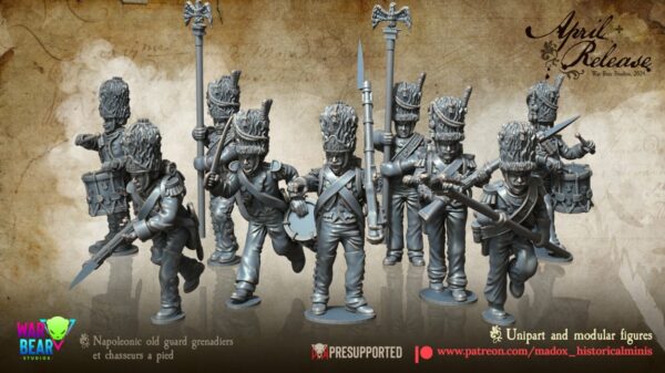 Napoleonic - French Old Guard Grenadiers - Image 2