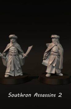 LOTR - Southron Assassins 2