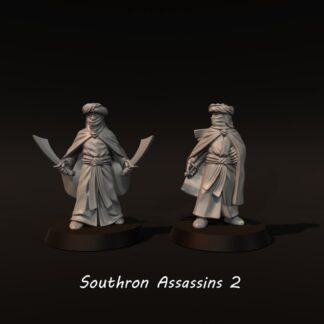 LOTR - Southron Assassins 2