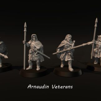 LOTR - Arnaudin Veterans