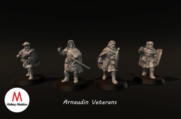 LOTR - Arnaudin Veterans - Image 2