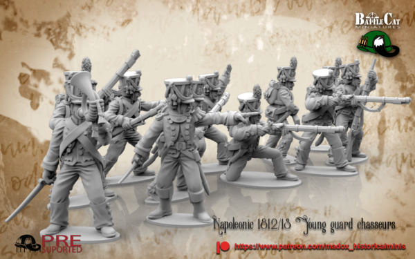 Napoleonic - French Young Guard Chasseurs