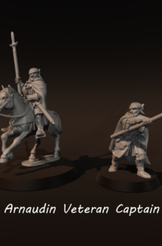 LOTR - Arnaudin Veteran Captain