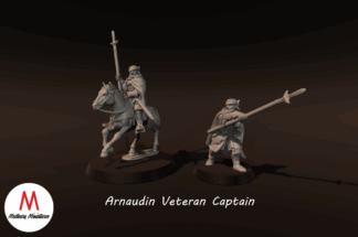 LOTR - Arnaudin Veteran Captain