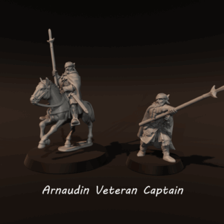 LOTR - Arnaudin Veteran Captain