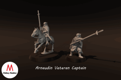 LOTR - Arnaudin Veteran Captain