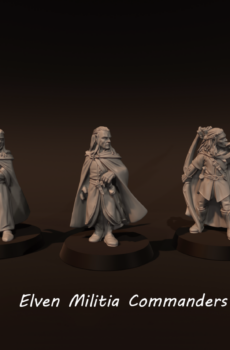 LOTR - Elven Militia Commanders