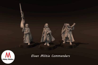 LOTR - Elven Militia Commanders