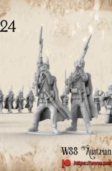 WSS Hungarian Infantry Command