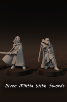 LOTR - Elven Militia With Swords