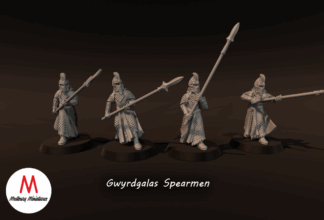 LOTR - Elven Gwyrdgalas Spearmen