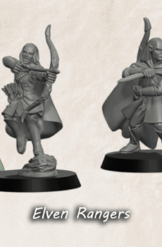 LOTR - Elven Rangers