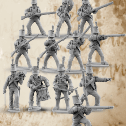 Napoleonic Portuguese Cacadores Command