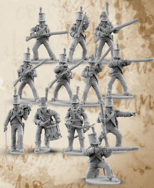 Napoleonic Portuguese Cacadores Infantry